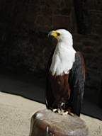 DSC00689.JPG