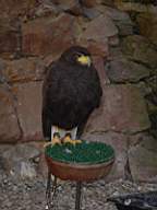 DSC00691.JPG