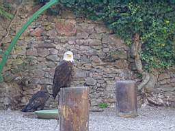 DSC00692.JPG