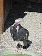 DSC00695.JPG