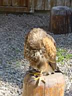 DSC00702.JPG