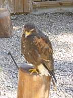 DSC00704.JPG