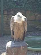 DSC00709.JPG