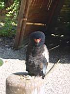 DSC00713.JPG