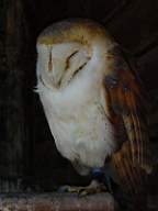 DSC00715.JPG