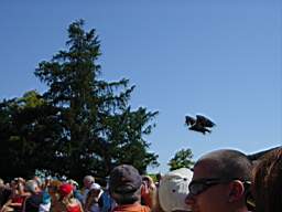 DSC00720.JPG