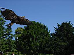 DSC00721.JPG
