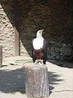 DSC00735.JPG
