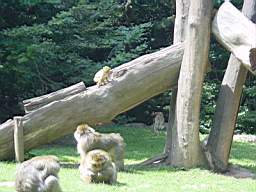 DSC00746.JPG