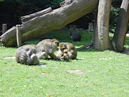 DSC00747.JPG