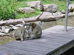 DSC00748.JPG