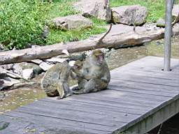 DSC00749.JPG