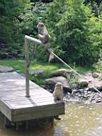 DSC00751.JPG
