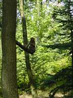 DSC00753.JPG
