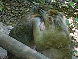 DSC00757.JPG