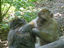 DSC00758.JPG