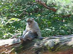 DSC00761.JPG